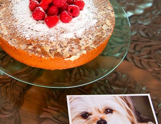 Honey Cake: It’s a Honey of A Cake and Juliet is a  Honey of a Pup