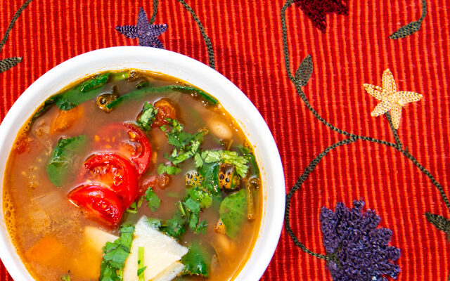 White Bean and Spinach Soup