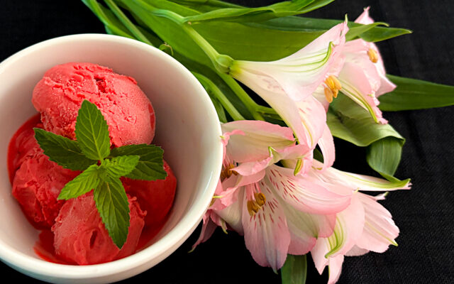 Elegant and Intense: Plum Ice Cream