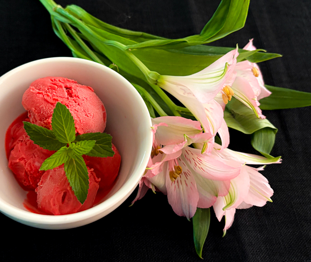 Elegant and Intense: Plum Ice Cream